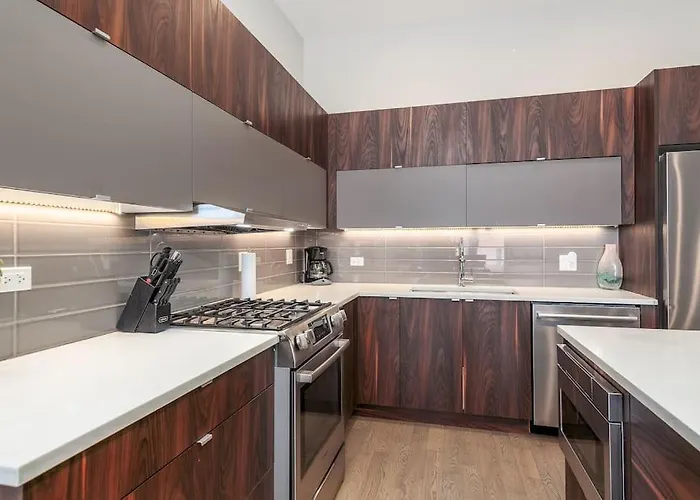 2 Newly Built Luxury With Private Roofdeck Chicago